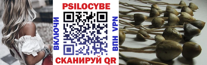 MEGA онион  Мариинский Посад  Псилоцибиновые грибы Psilocybe 